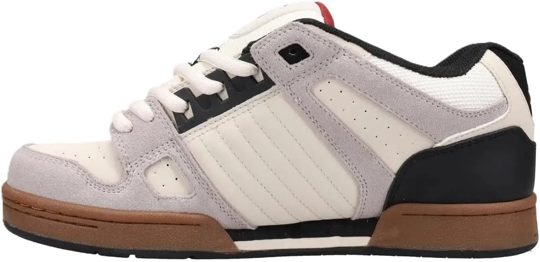 DVS Men's Celsius Skate Shoe